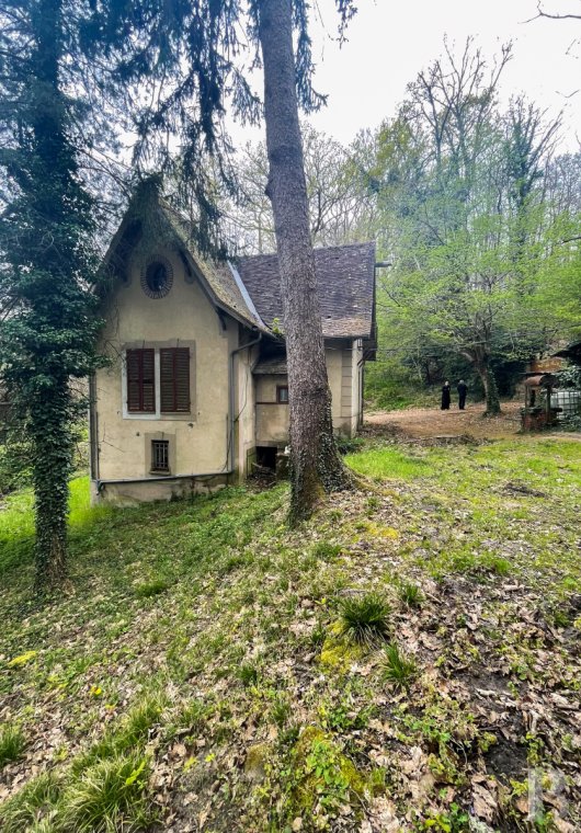 chateaux a vendre ile de france   - 13