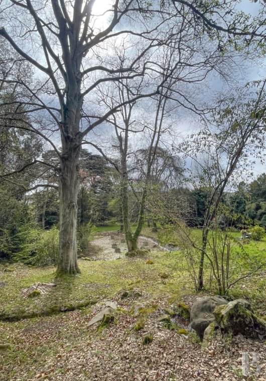 chateaux a vendre ile de france   - 16