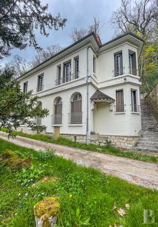chateaux a vendre ile de france   - 10