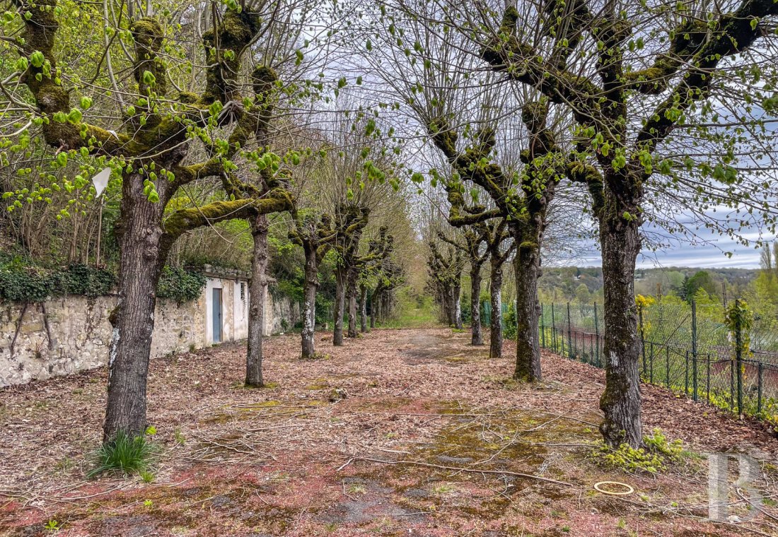 chateaux a vendre ile de france   - 19