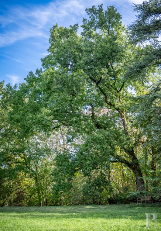 A 19th-century château surrounded by extensive grounds between Toulouse and Albi, in the Tarn department  - photo  n°28