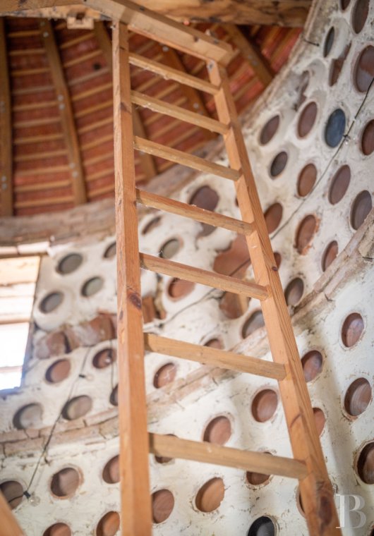 A 19th-century château surrounded by extensive grounds between Toulouse and Albi, in the Tarn department  - photo  n°27