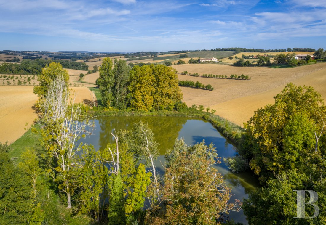 A 19th-century château surrounded by extensive grounds between Toulouse and Albi, in the Tarn department  - photo  n°32