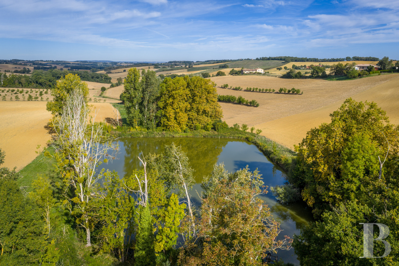 A 19th-century château surrounded by extensive grounds between Toulouse and Albi, in the Tarn department  - photo  n°32