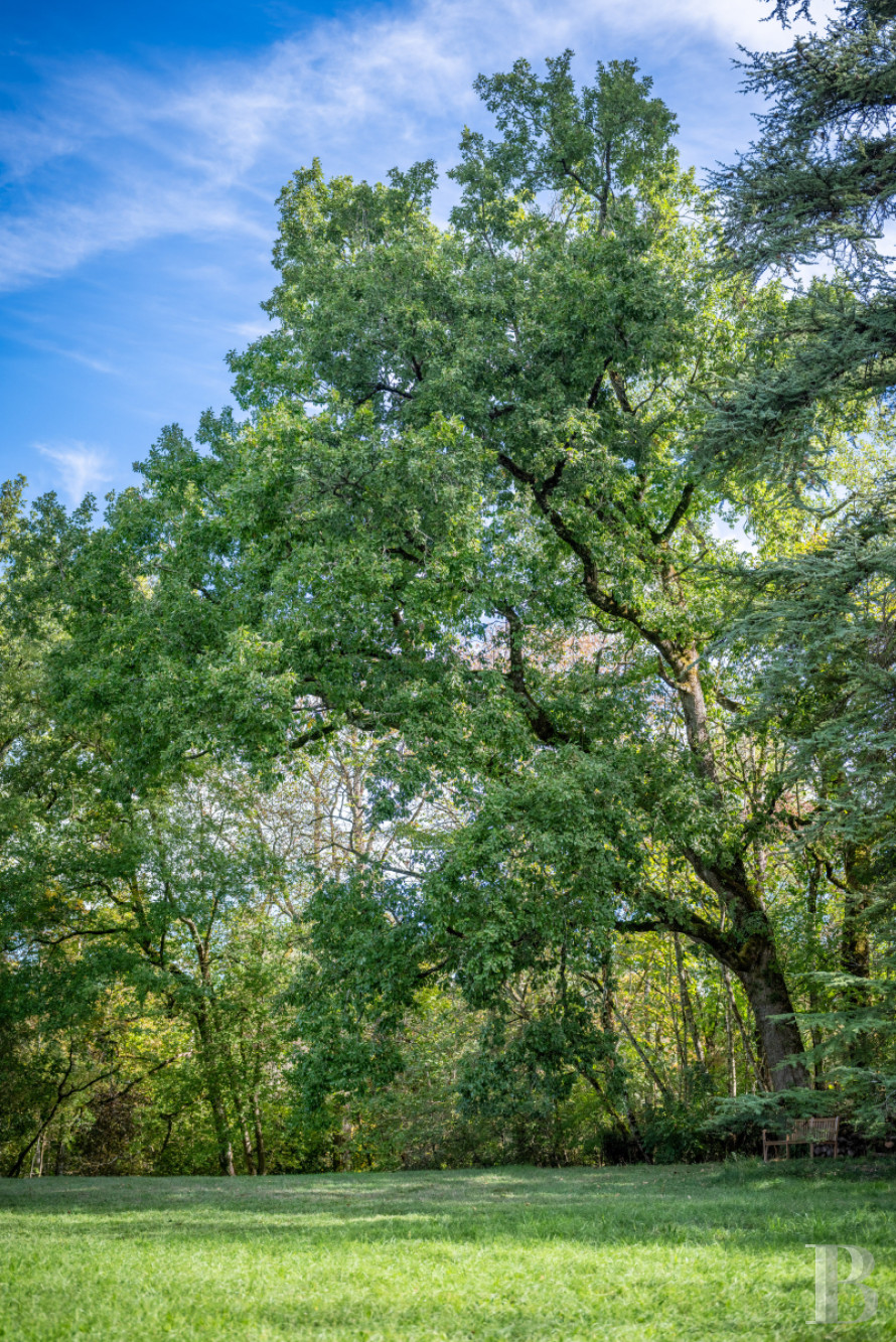 A 19th-century château surrounded by extensive grounds between Toulouse and Albi, in the Tarn department  - photo  n°28