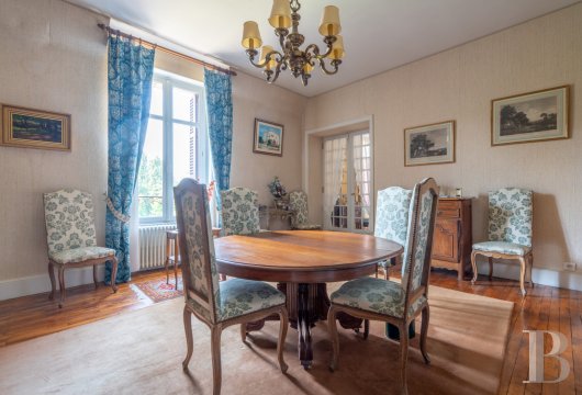 chateaux for sale France poitou charentes   - 11