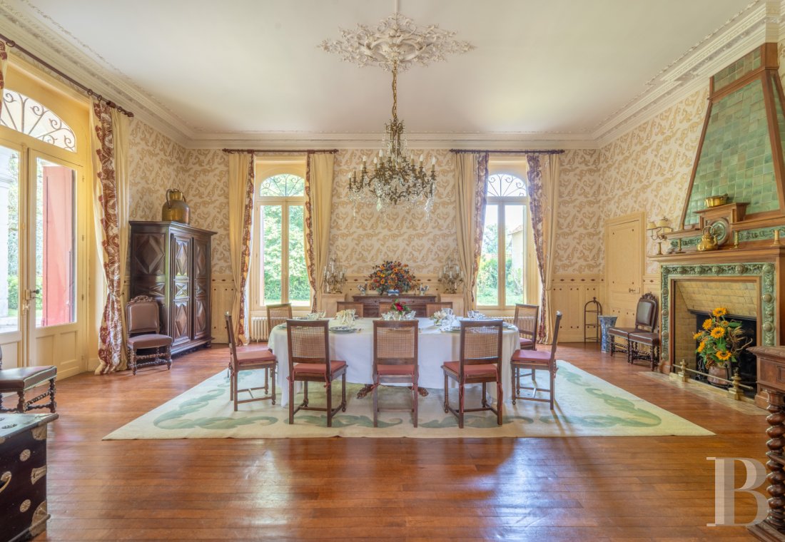 chateaux for sale France poitou charentes   - 4
