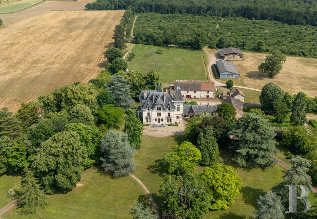 chateaux for sale France poitou charentes   - 2