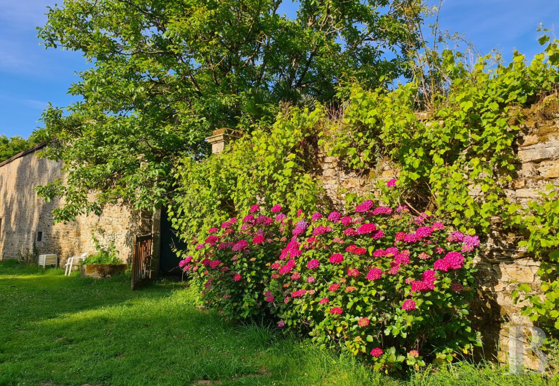 chateaux a vendre bretagne   - 17