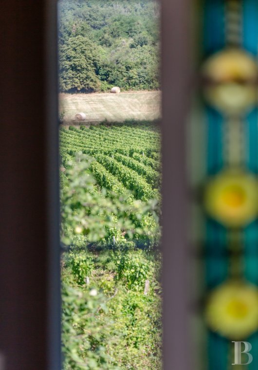 character properties France burgundy   - 19