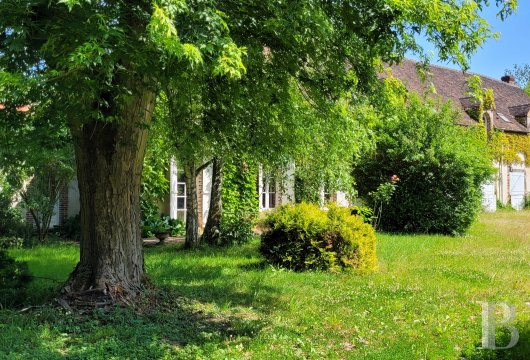burgundy - A charming farmhouse, its outbuildings and garden bordered  by a trout-filled river, 1.5 hours from Paris, in Burgundy