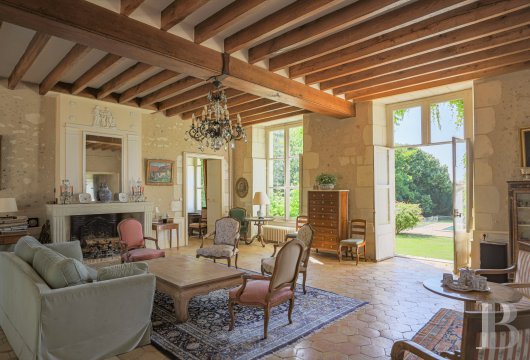 chateaux a vendre pays de loire   - 8