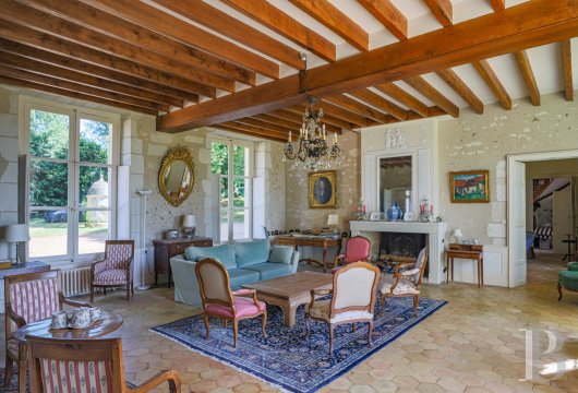 chateaux a vendre pays de loire   - 6