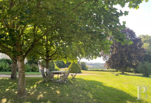 chateaux a vendre pays de loire   - 15