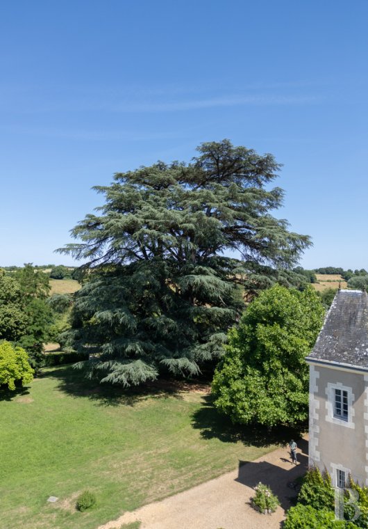 chateaux a vendre pays de loire   - 14