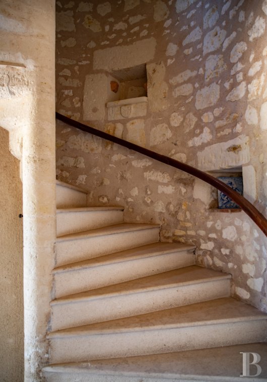 chateaux a vendre pays de loire   - 7