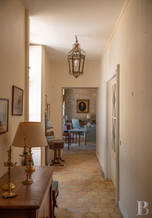 chateaux a vendre pays de loire   - 9