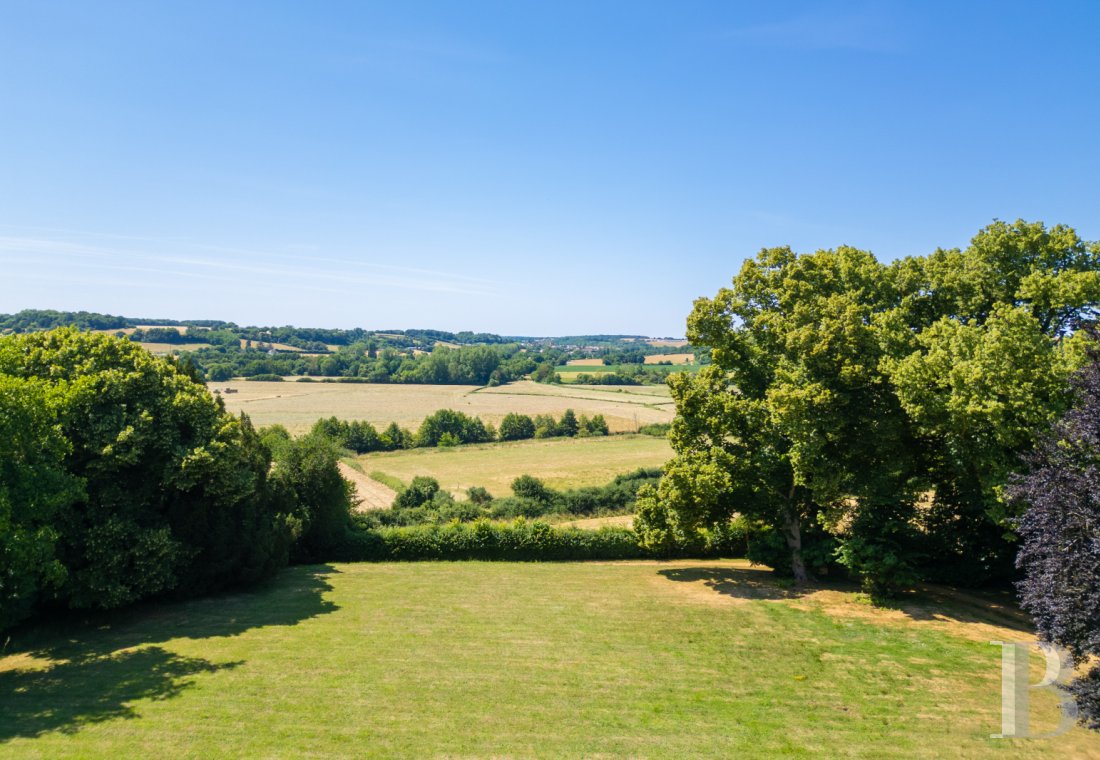 chateaux a vendre pays de loire   - 17