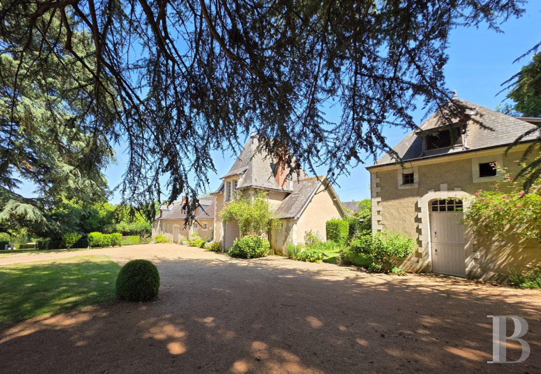 chateaux a vendre pays de loire   - 12