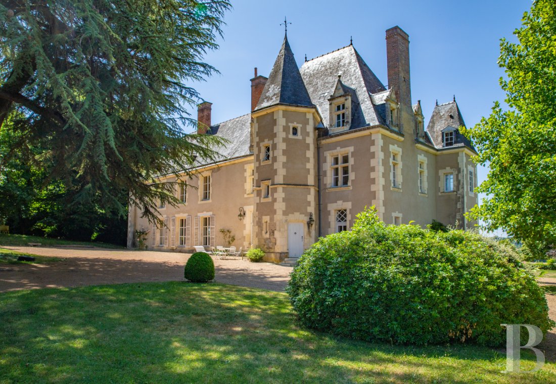 chateaux a vendre pays de loire   - 2