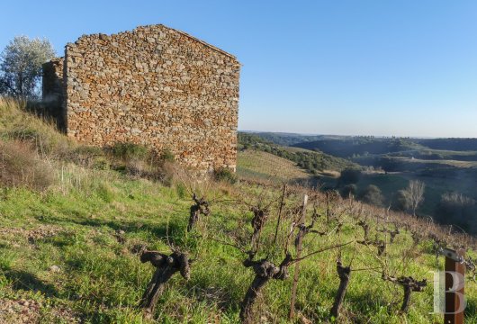 languedoc-roussillon - A village winegrowing estate with storehouses and 46 hectares of grounds, including 20 hectares of vineyards, nestled in France’s Hérault department