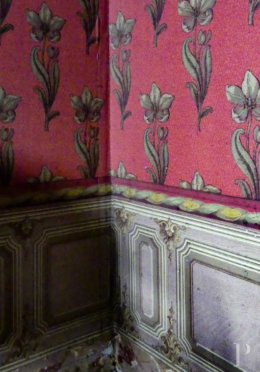 character properties France languedoc roussillon   - 9
