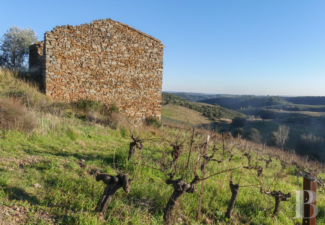 character properties France languedoc roussillon   - 16