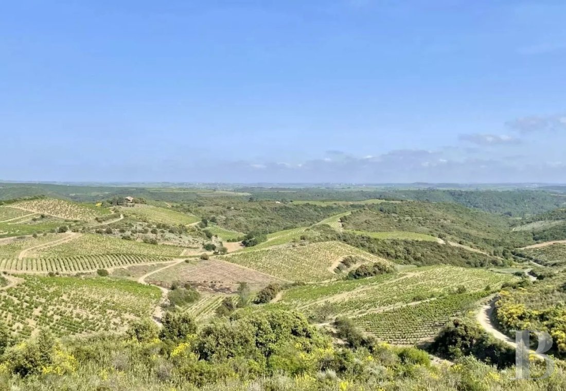 character properties France languedoc roussillon   - 18