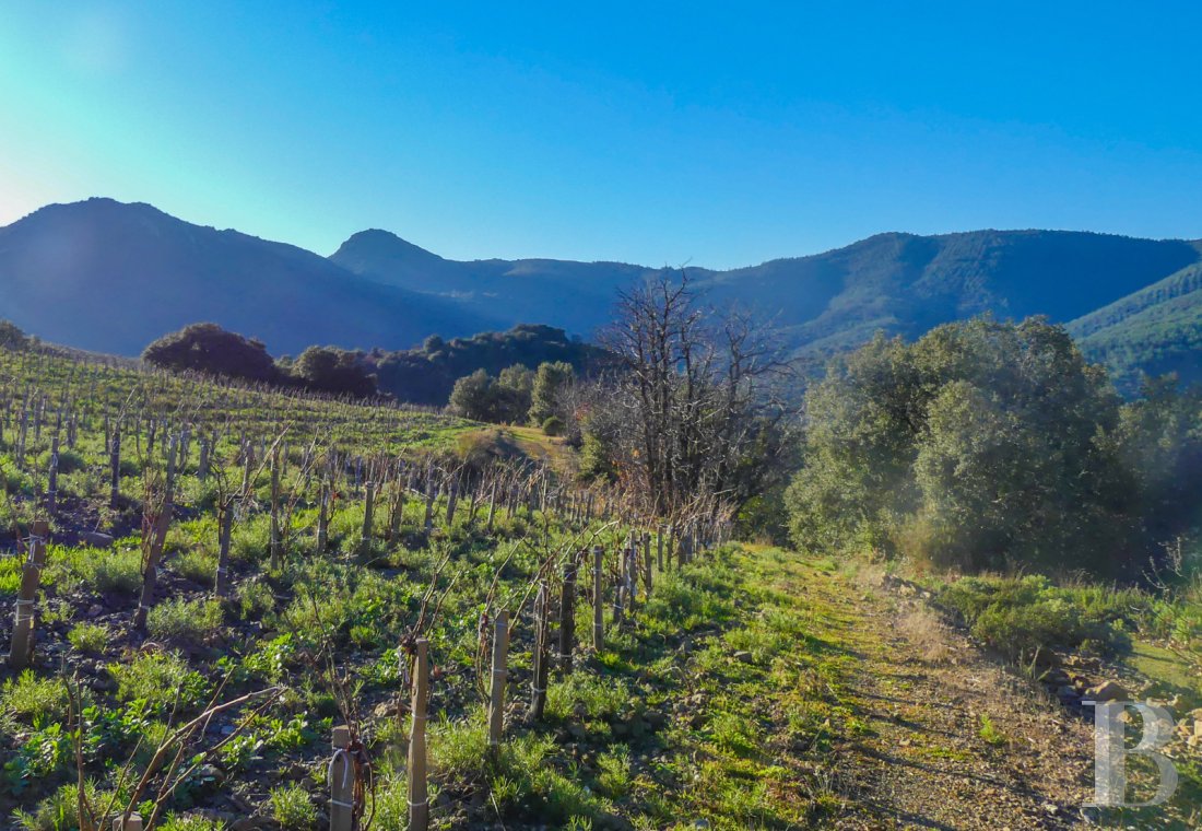 character properties France languedoc roussillon   - 19