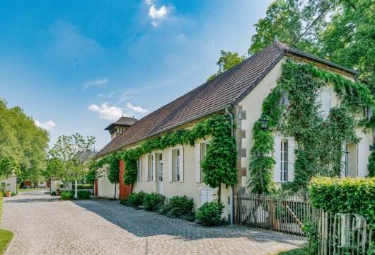 chateaux a vendre auvergne   - 8