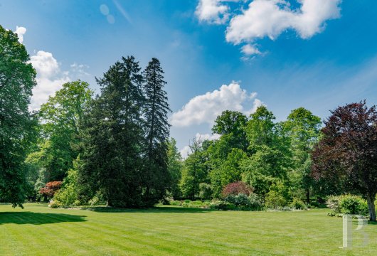 chateaux a vendre auvergne   - 21
