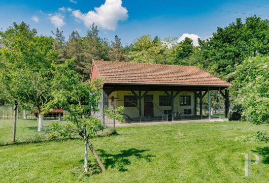 chateaux a vendre auvergne   - 18