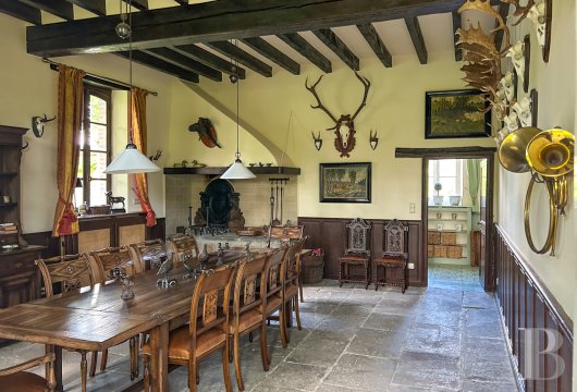 chateaux a vendre auvergne   - 12