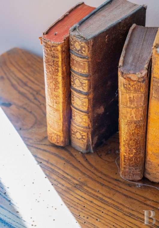 An 18th-century Provencal château on the edge of the village of Mazan to the east of Carpentras, in the Vaucluse - photo  n°19