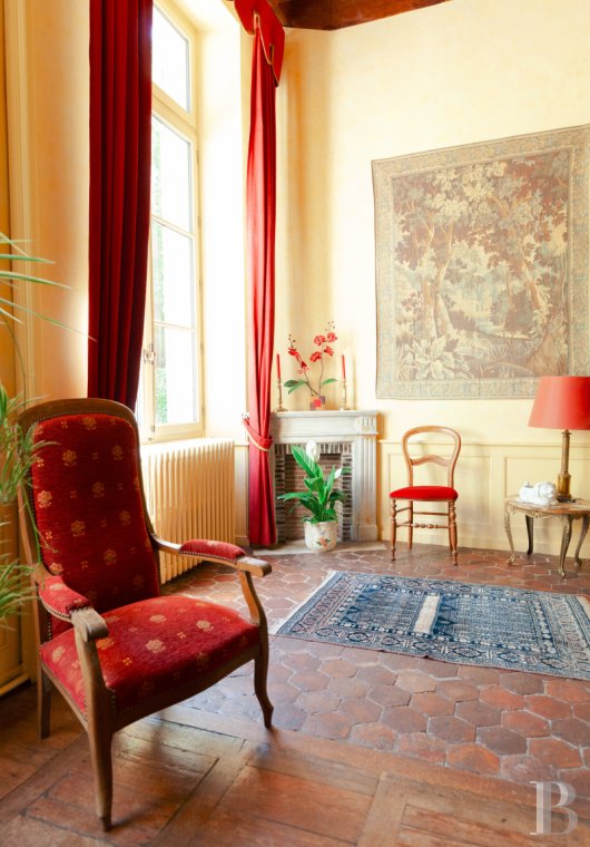 mansion houses for sale France burgundy   - 8