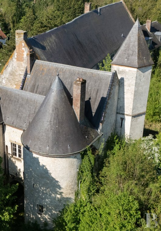 chateaux for sale France north   - 2