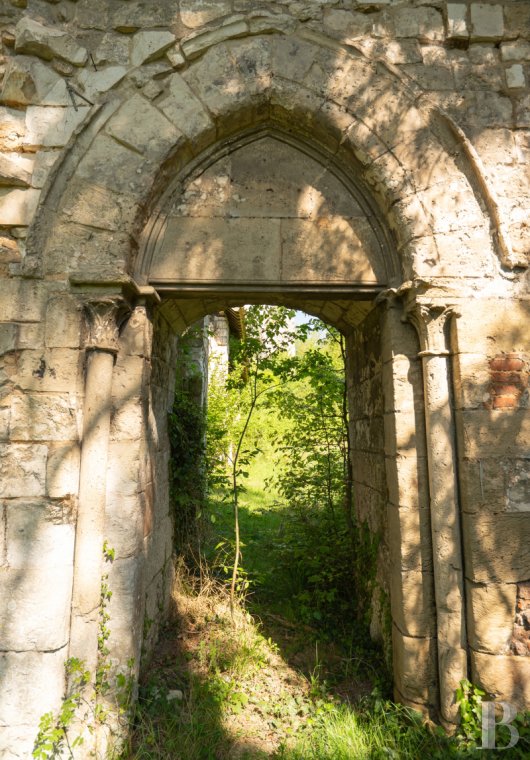 chateaux for sale France north   - 16