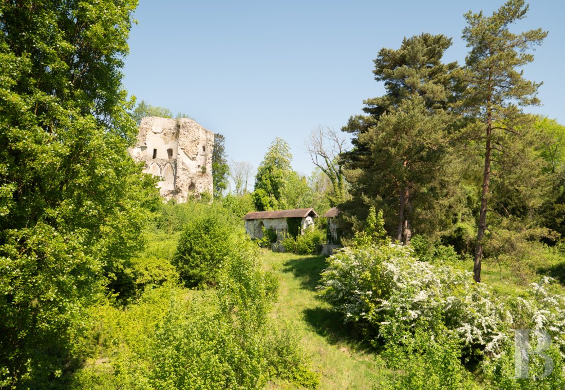 chateaux for sale France north   - 17