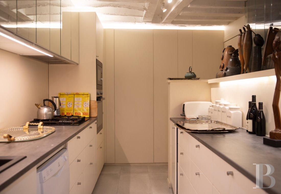 A vast apartment set around a garden in Paris, between Boulevard Saint-Germain and the Seine - photo  n°12