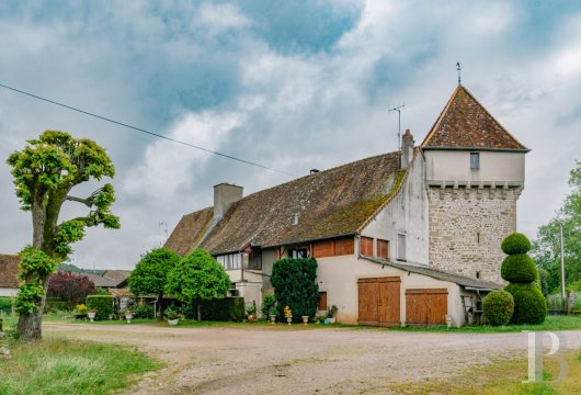 chateaux a vendre bourgogne   - 7