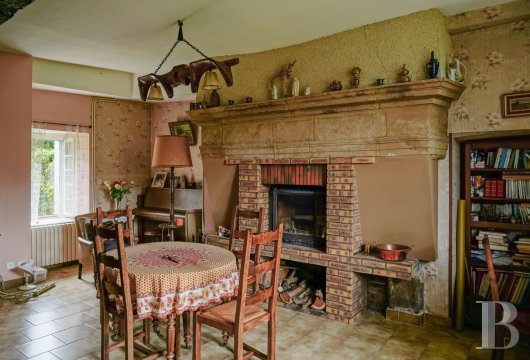 chateaux a vendre bourgogne   - 8