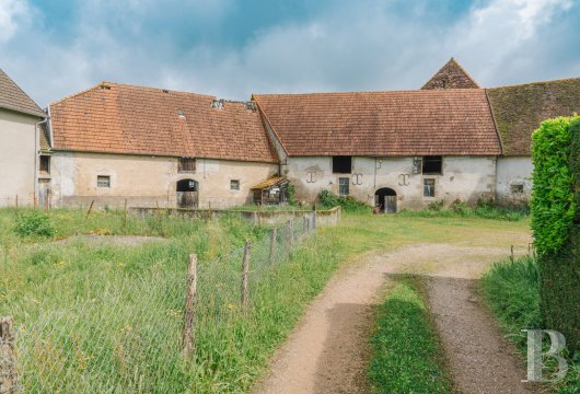 chateaux a vendre bourgogne   - 17