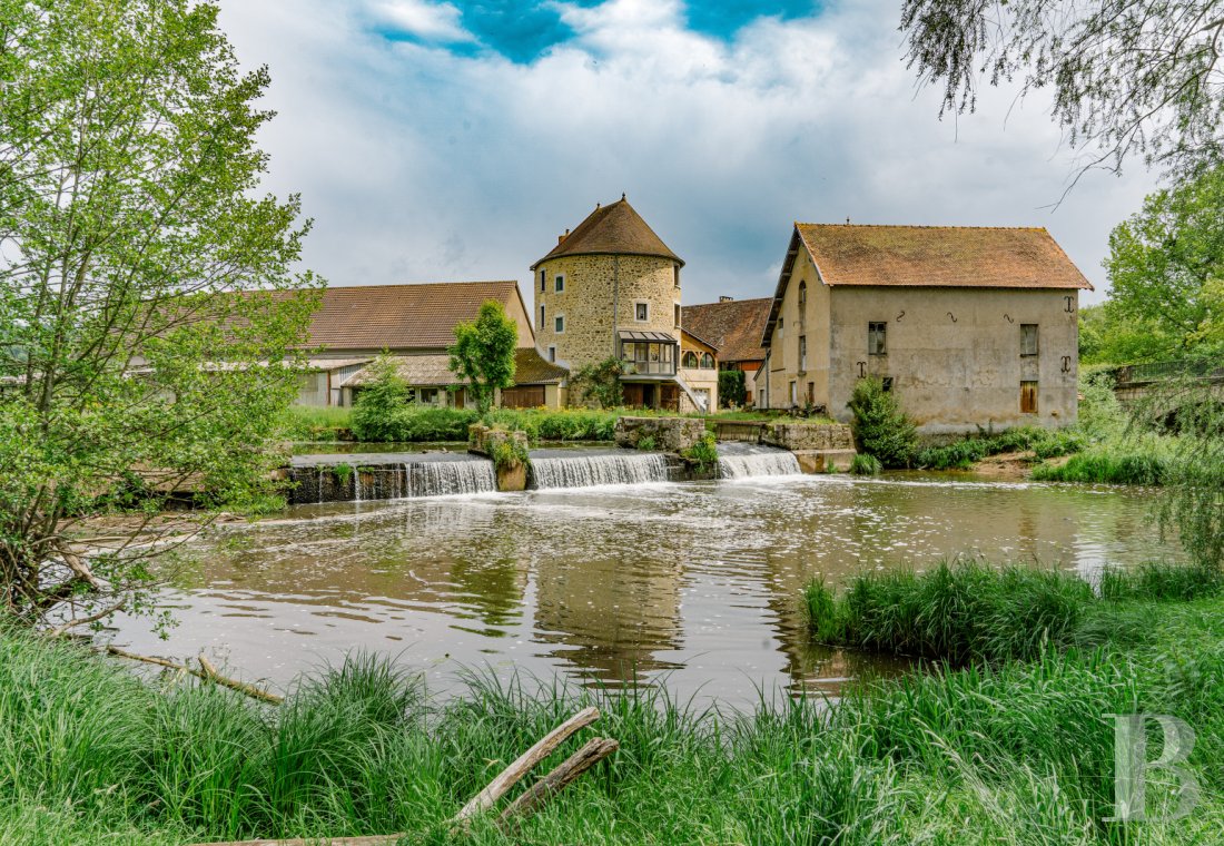 chateaux a vendre bourgogne   - 2