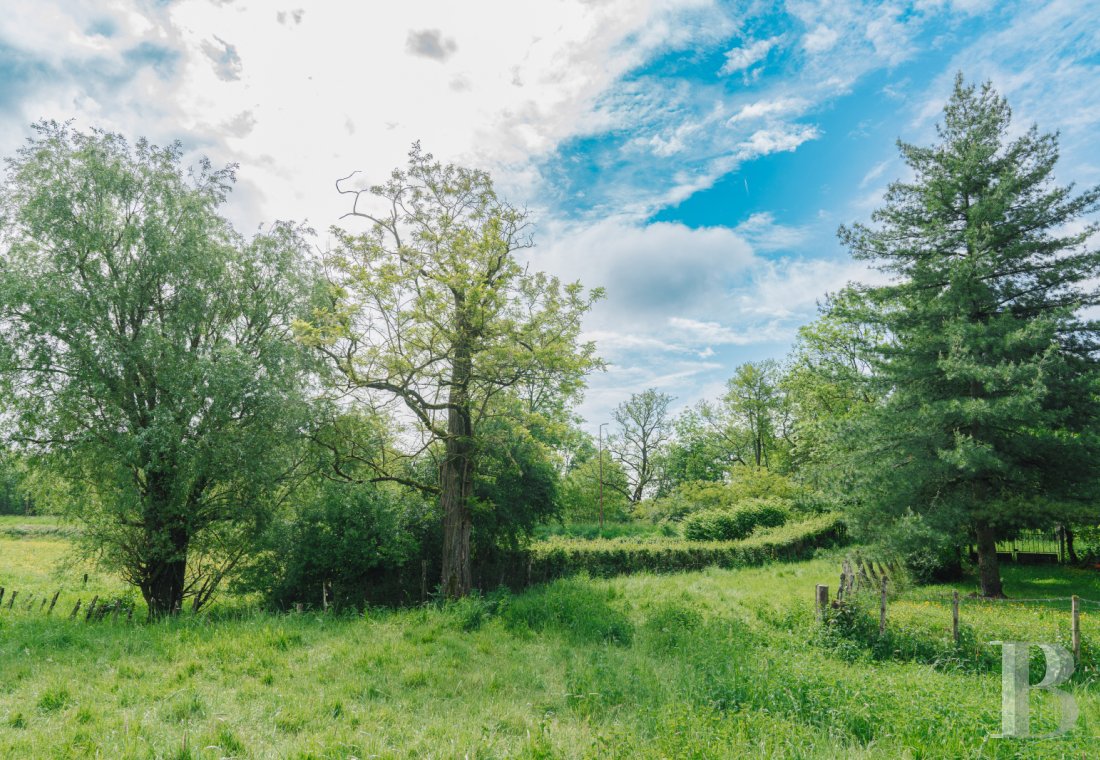 chateaux a vendre bourgogne   - 23