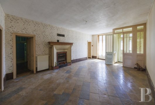 chateaux a vendre centre val de loire   - 6