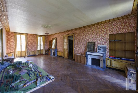 chateaux a vendre centre val de loire   - 8