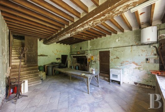 chateaux a vendre centre val de loire   - 20