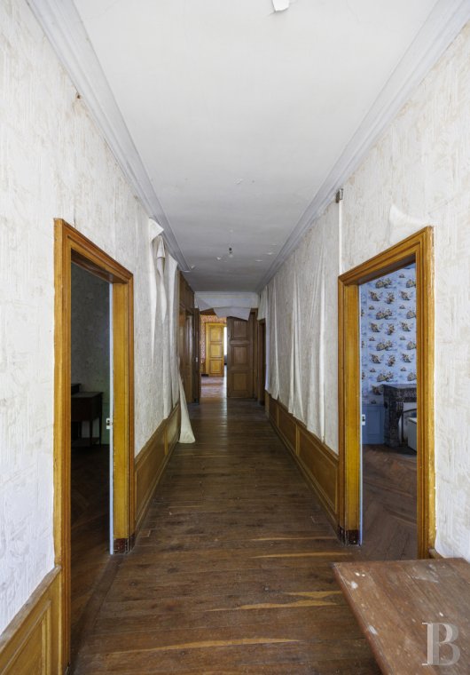 chateaux a vendre centre val de loire   - 9