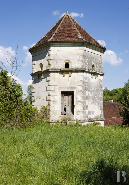 chateaux a vendre centre val de loire   - 15
