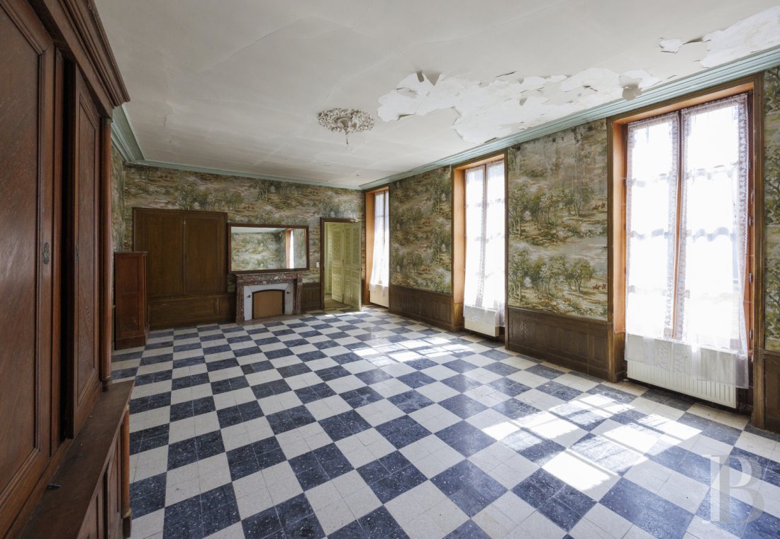 chateaux a vendre centre val de loire   - 5